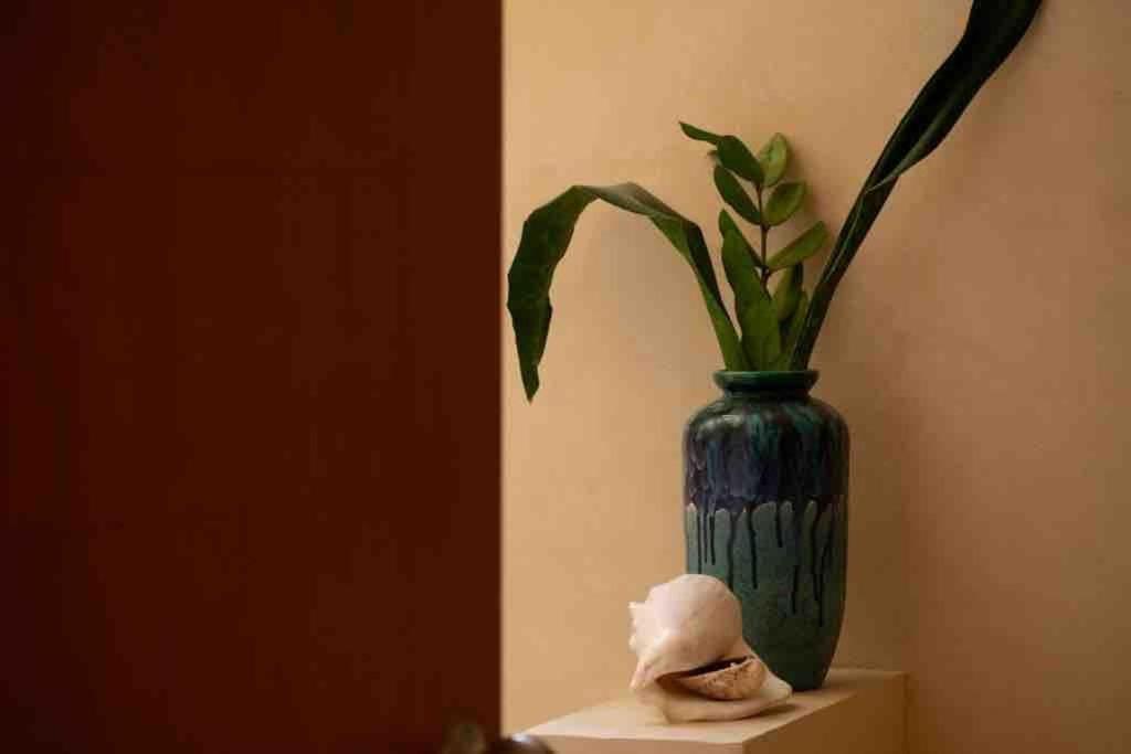Disfruta En La Casa De Lola / Enjoy At Lolas House プログレソ エクステリア 写真